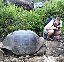 Galapagos, Charles Darwin Research Station, tortoise