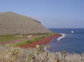 Galapagos Islands, Fernandina