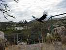 Zoologico de Guayllabamba en Quito Ecuador