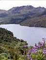 Cayambe in Quito Ecuador