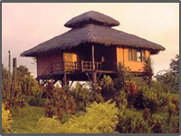 Quito city tours, Arasha Rain Forest Resort & Spa