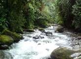 El Carmelo Mindo, Nambillo River