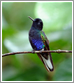 Mindo Ecuador