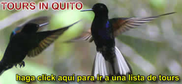 Tours in Quito