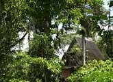 Quito resort, Tinalandia Ecolodge