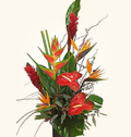 Tropical flowers